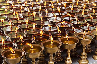 恶搞名作《再不吃寿司会死掉！》确定登陆Switch 众筹成功